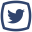 Twitter icon